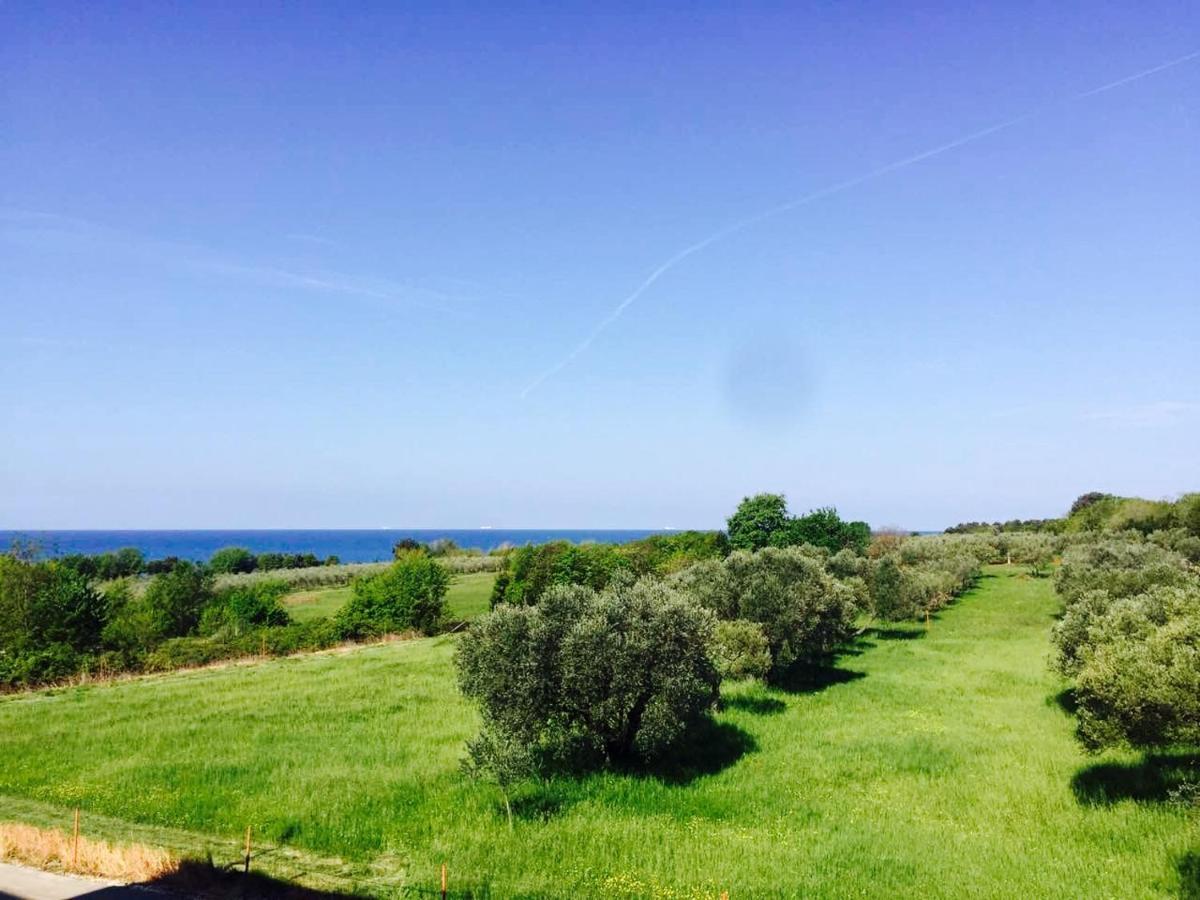 Apartment Mirella Umag Dış mekan fotoğraf